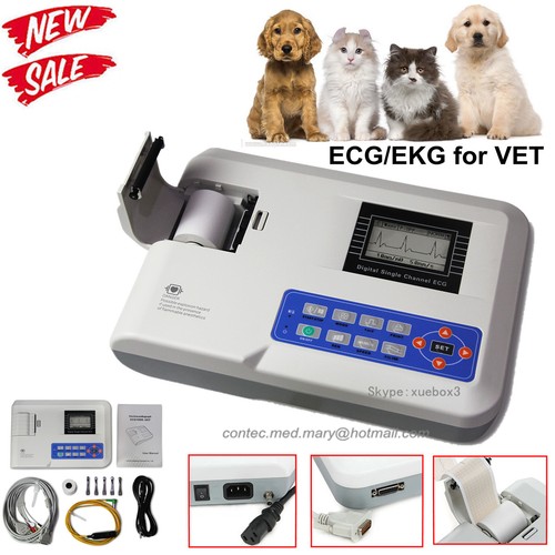 Tierarzt veterinärmedizin - tierarzt,